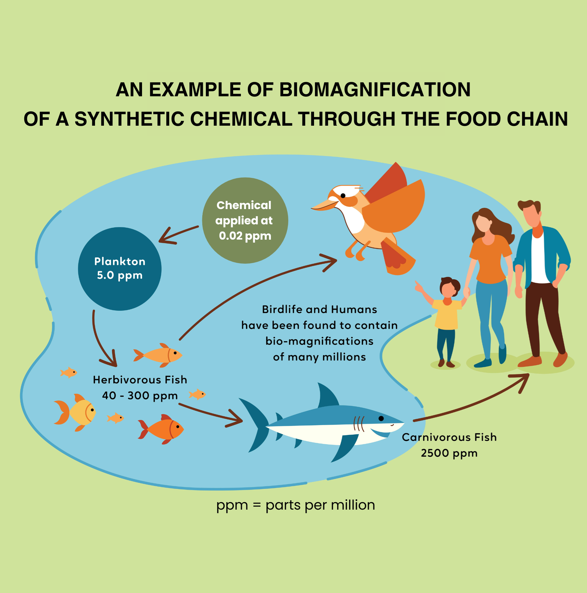 Choosing Safer Products: The 3 B's You Need to Know – One Organic ...