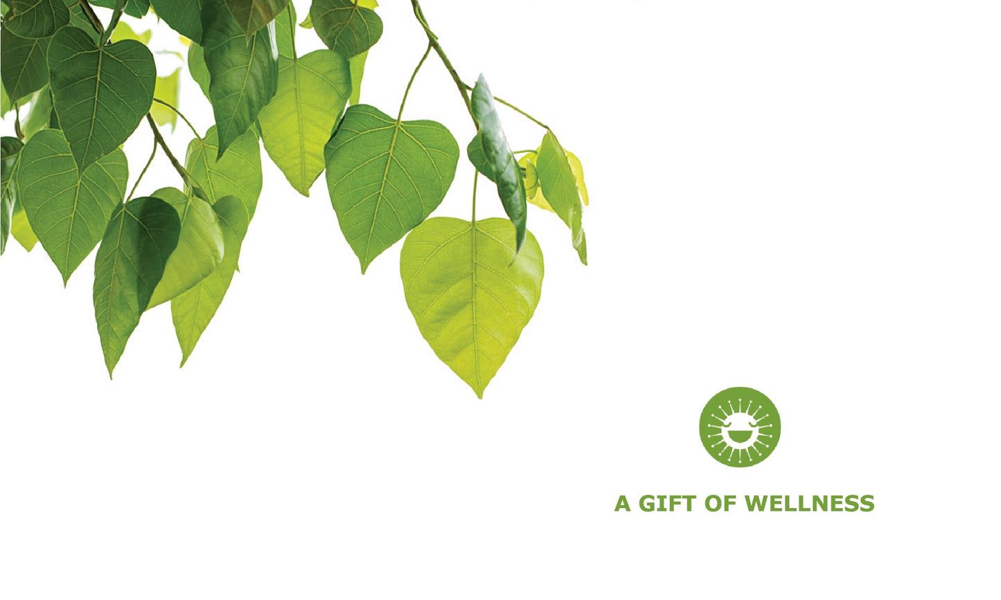 WELLNESS GIFT CERTIFICATE