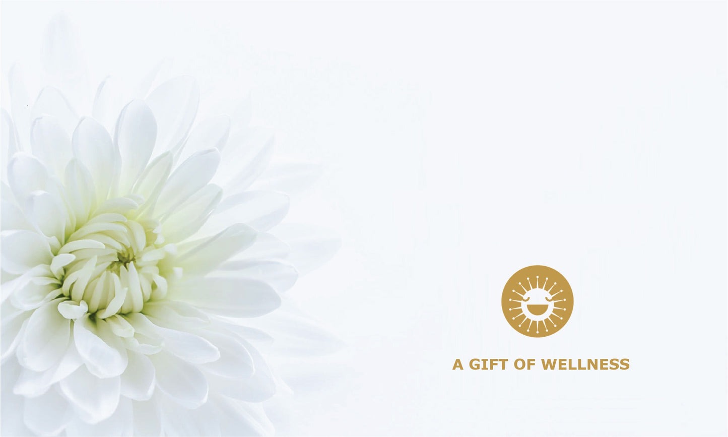 WELLNESS GIFT CERTIFICATE